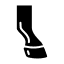 Tuyoq parvarishi